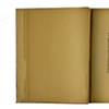 The Archaeologist's Report