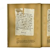 The Archaeologist's Report