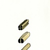 The Author's Sketches