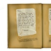 The Archaeologist's Report