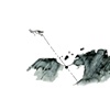 The Author's Sketches