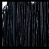 The Sound of Impermanence - detail