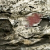 Fragile Landsape Series - Red 