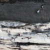 Fragile Landscape Series - Lake George Winter