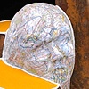 mapped portrait