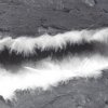 Untitled (concrete & feathers)