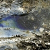 Fragile Landscape Series - Blue 