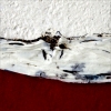 Square Series