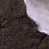 Untitled (dirt box)