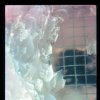 Embedded Temporality -detail