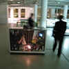 Display Case
