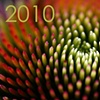 2010