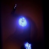 Traces @ COCA