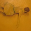 The Yellow Dress