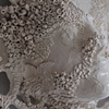 Barnacle Face Detail