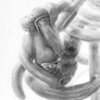 Piquance DETAIL