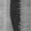 wave poem