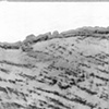 Division Drawings: Fall Creek