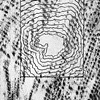 Division Drawings: Fall Creek