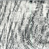 Division Drawings: Fall Creek