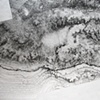 "Incidental Surfaces"