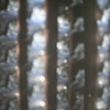Windowork: Forest Grove (detail)