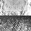 Division Drawings: Fall Creek