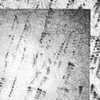 Division Drawings: Fall Creek