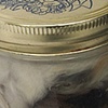 Vlad Smolkin
Canned Rabbit 