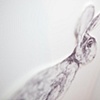 Rachel Weber 
Goodnight, Hare