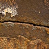 Steel Canyon