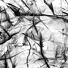 Lapsed 16