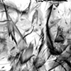 Lapsed 4