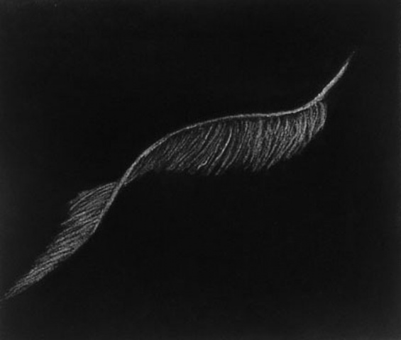 Feather I