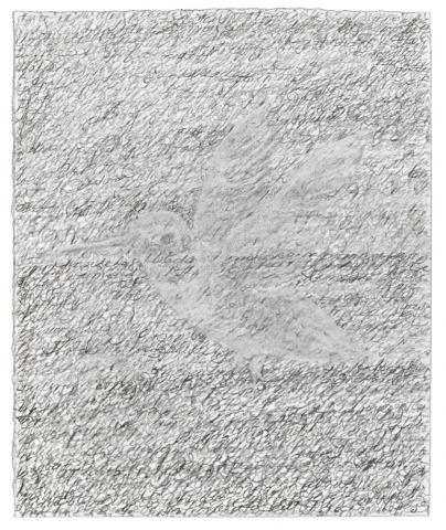 Lines 3