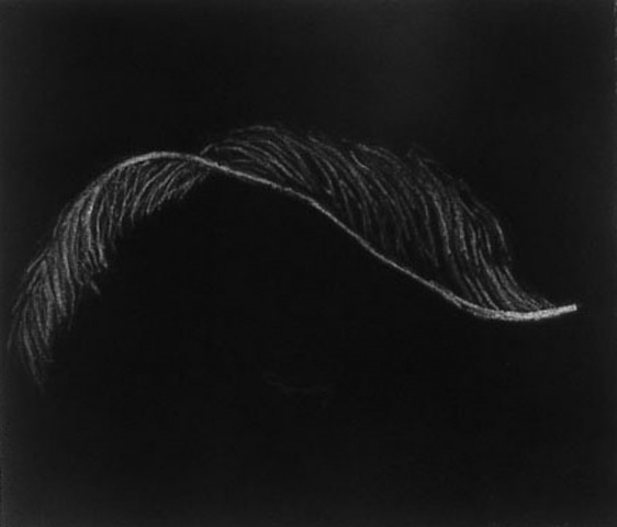 Feather II