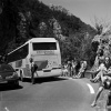 The Accident