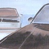 El Camino Study (Two Elkys)
