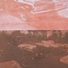 Two El Caminos (White & Umber)