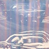 Two El Caminos (Blue Launch)