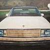 El Camino in Landscape 2010