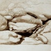 Rocks
