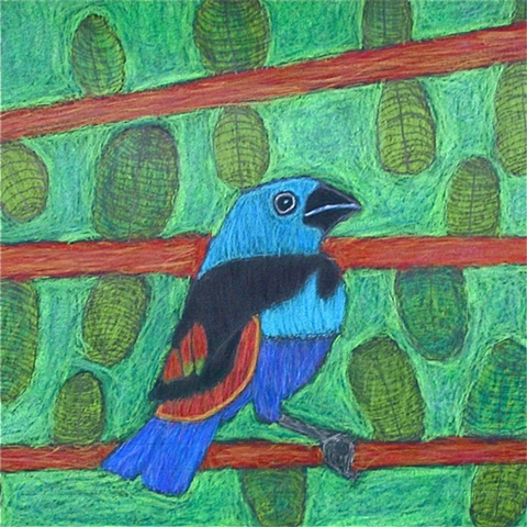 Untitled bird
