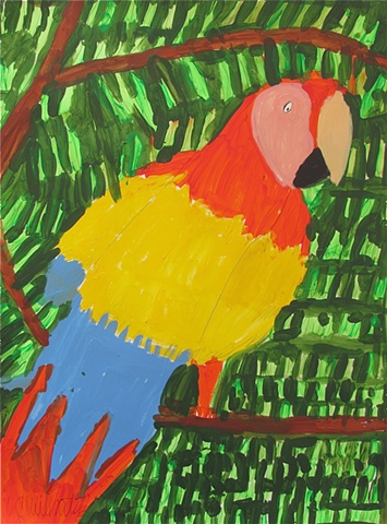 Macaw on a Tree Limb