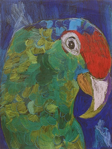 Parrot