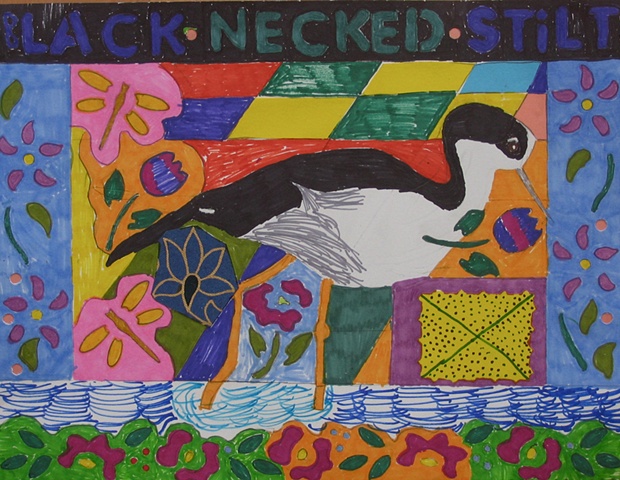 Black Necked Stilt