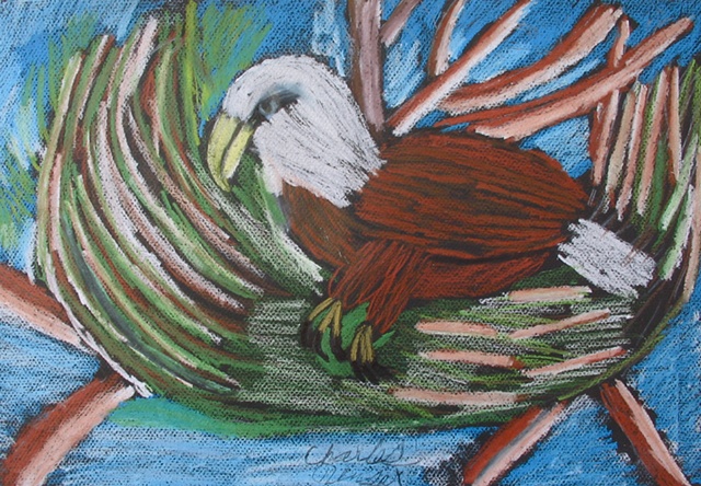 Baby Bald Eagle by Charles Unser