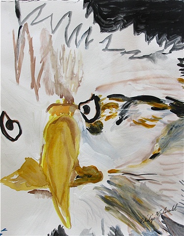 Bald Eagle by Phillip McDonald
