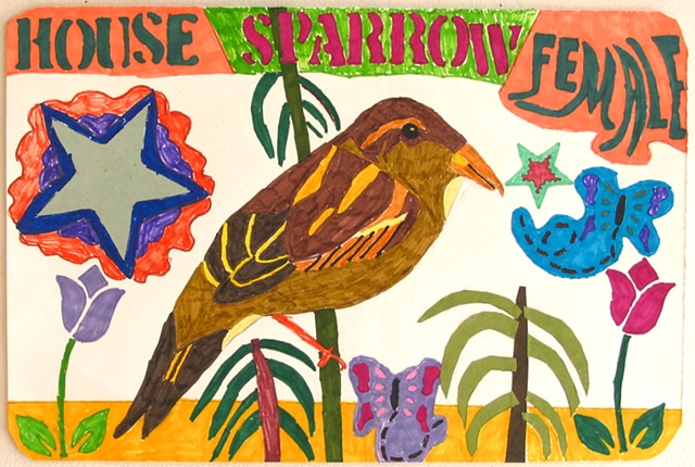 House Sparrow by Amanda Winkler