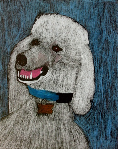Rocky by Michelle Aliotti